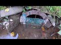 POND OF MY DREAMS. I show how I equipped a pond for breeding fish. My pond in the my home plot