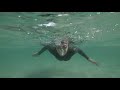 9 Open Water Swimming Tips | Swim Skills For Beginners