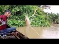 MENDEBARKAN.!! JIKA SAYA TIDAK LARI HAL BURUK BISA TERJADI.!! MANCING UDANG GALAH