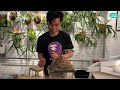 How to Mount Staghorn Fern (Platycerium) on Board | Simple Step-by-Steps Guide