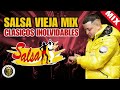 SALSA VIEJA MIX - SALSA CLASICA MIX - SALSA ROMANTICA - SALSA MIX BAILABLE - MEZCLA DE SALSA 2024