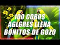 COROS VIEJITOS PERO BONITOS 🙏 COROS PENTECOSTALES 🙏 MAS DE 100 COROS AVIVAMIENTO PENTECOSTAL