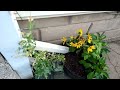 Aquaponic Tiny Garden, Solar Power and Misting System Information