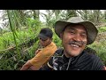 SURVEI LOKASI KAMPUNG AYAM HUTAN!!! GAK ADA OBAT!!