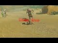 Another stupid death in Breath of the Wild