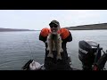 Columbia River Walleye Master