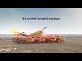 Ads for ELT - Together [Crabs]