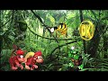 Donkey Kong Country 2 Jungle Animation