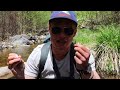Backpacking & Fly Fishing New Mexico | Gila Wilderness