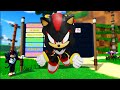 MOST WANTED SKINS in SONIC SPEED SIMULATOR!