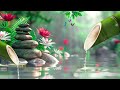 Peaceful Music heal the Soul, Relaxing Piano Music for Sleep, Soothing Music, 🌿🌿🌿 Bamboo Water So