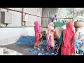 Plastics Recycling Factory