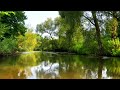 Refresh your Mind for more Focus ~ 4K ~ Chirping Birds & Mellow River Sounds