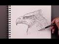 How To Draw Hippogriff | Harry Potter Sketch Tutorial