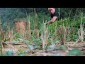 Duong discovered large quantities of copper at the stream | Animal Care