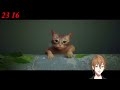 【Stray】サイバーパンクを駆ける猫チャン #1【にじさんじ / 伏見ガク】