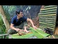survival shelter, warm dinner, jungle adventure /Ly Thanh TV