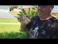 MOWRATOR S1 Remote Controlled 4WD Lawn Mower Full Review