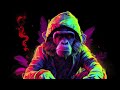[ Drum And Bass Reggae 2024 ] LaChips : Real Monkey