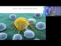 Oncolytic Viruses: Biological Machines for the Treatment of Brain Tumours