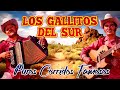 Los Gallitos Del Sur - 20 Corridos Famosos (Album Completo)