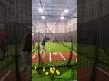 Training cage hitting