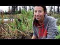 First Year Garden Potato Harvest | The BIGGEST Spuds We've Ever Seen!