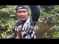 ternyata di rawa ini ada ikan mahser nya juga || Rio Saputra Asm