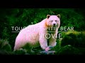 Touching Spirit Bear Movie Trailer