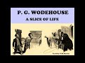 A Slice Of Life by P. G. Wodehouse. Short story audiobook read by Nick Martin