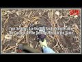 Master 99 Tones: Nokta Simplex Ultra | Field Training Metal Detecting | Simplex Metal Detector