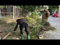 People are surprised that the beautiful neighborhood no longer has weeds and trash on the sidewalks