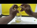 5 Simple Science Experiments and School Magic Tricks | Science Experiments for School