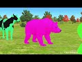 Long Slide Game With Elephant Gorilla Buffalo Hippopotamus Tiger - 3d Animal Game - Funny 3d Animals