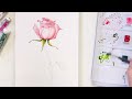 How to paint rose in watercolor. Tutorial step by step.