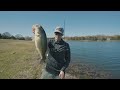Every Bass In My Pond WANTED THIS!! (100 Ponds Ep. 29)