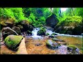 Nature Sounds For Sleep And Relaxing River Bubbling, Birds Chirping