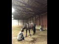 Girl acts sad to see how her horse will react.