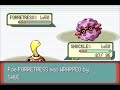 How to properly use Shuckle in the Battle Factory | Pokemon Emerald