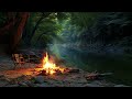 Serene Forest River Relaxation |ASMR nature sounds|#summer  #relaxation #nature