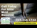 Attic Mold Removal - CNY Roof Cleaners