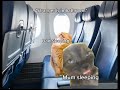 Cat memes at the airport (Cats) (Funny) (Memes) (Family)