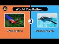 Would You Rather...? Animals Edition | New Quiz Video Quiz World