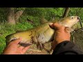 Catfish  Biting Crappie Jigs!