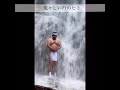 2020年夏 母の白滝にて滝行富士信仰 ※前日の雨で増水しています#waterfalltraining #waterfall #滝行 #takigyo  #japan #Fuji