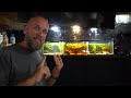 Breeding Aquarium Micro Organisms - Setting Up a Food Web