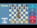 How to Set Up a Chess Board: Chess Rules Beginners | ChessKid