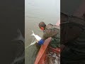 Best Rural Fishing On The Ice Land 🐟🎣#shorts #viral #fishing