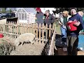 Farm Tour! 🐮🐔🐷 100+ ANIMALS