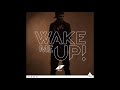 Avicii - Wake Me Up (Syrange Tribute Remix)